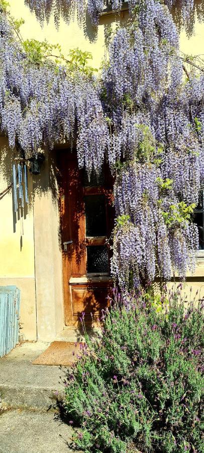 La Maison Des Tisserandes Montségur Kültér fotó